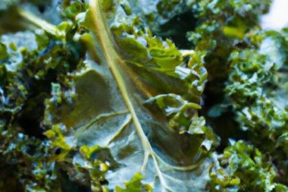 8 Irresistible Kale Chips Recipe